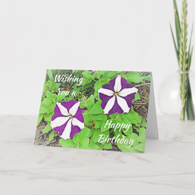 Herzlichen Glückwunsch zum Geburtstag Lila Petunia Karte (Vorderseite)