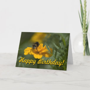 Herzlichen Glückwunsch zum Geburtstag mit einer Bi Karte