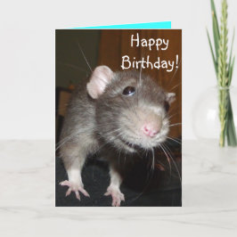 Herzlichen Glückwunsch zum Geburtstag! niedliche b Karte