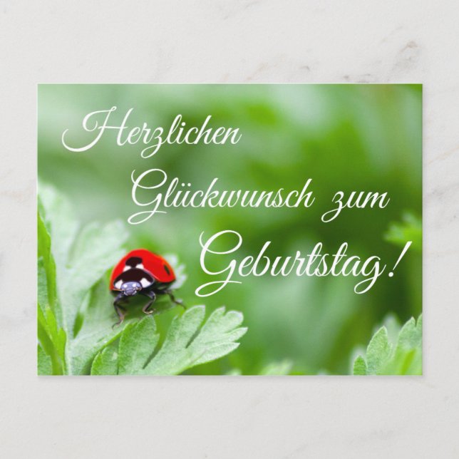 Herzlichen Glückwunsch zum Geburtstag! Postkarte (Vorderseite)