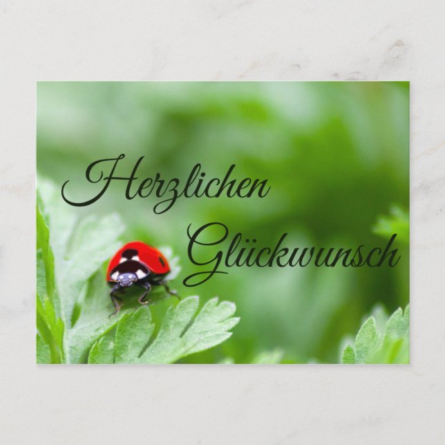 Herzlichen Glückwunsch zum Geburtstag Postkarte (Vorderseite)