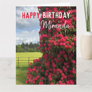 Herzlichen Glückwunsch zum Geburtstag - Rhododendr Karte