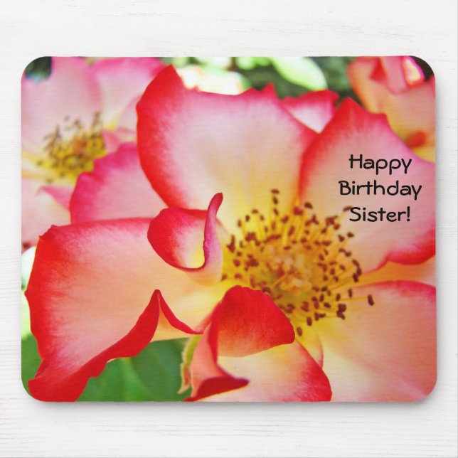 Herzlichen Glückwunsch zum Geburtstag Schwester! M Mousepad (Vorne)