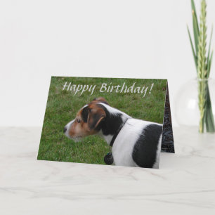 Herzlichen Glückwunsch zum Geburtstag vom Hund Karte