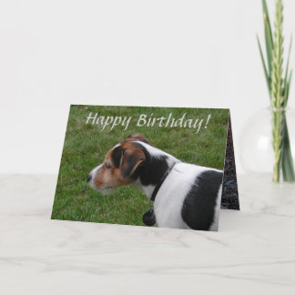 Herzlichen Glückwunsch zum Geburtstag vom Hund Karte