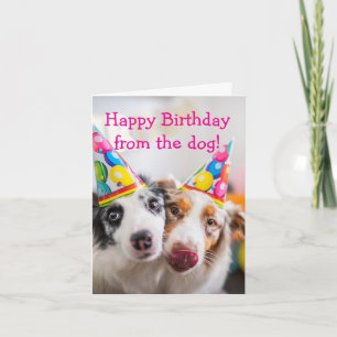 Herzlichen Glückwunsch zum Geburtstag vom Hund Karte