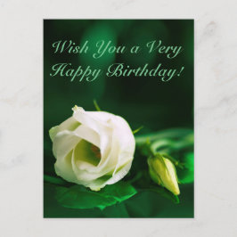 Herzlichen Glückwunsch zum Geburtstag, weiße Rose Postkarte