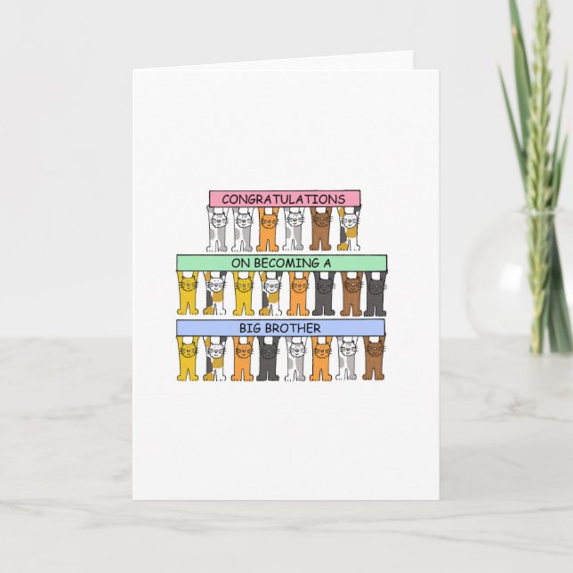 Herzlichen Glückwunsch zum großen Bruder werden Karte (Vorderseite)
