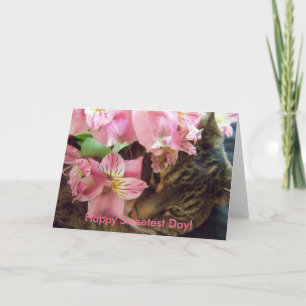 Herzlichen Glückwunsch zum süßen Tag!  Grußkarte Karte