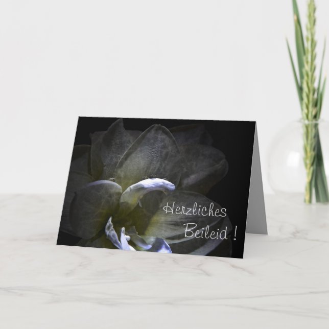 Herzliches Beileid! Amaryllis Blüte ... Karte (Vorderseite)