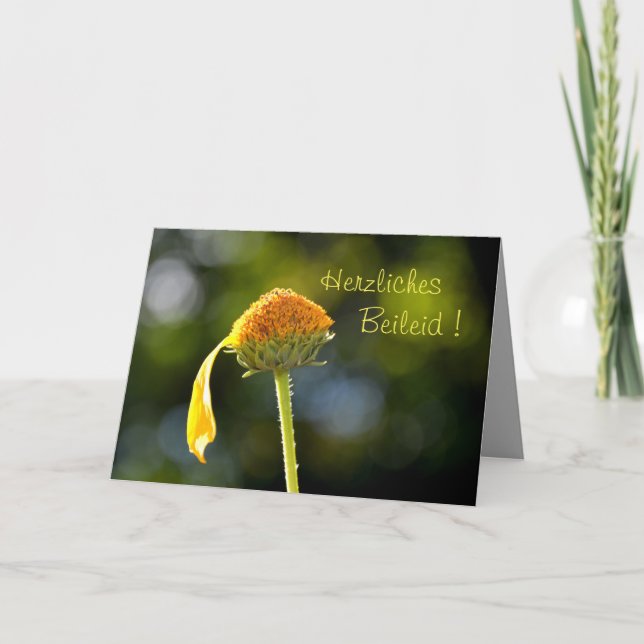 Herzliches Beileid ! Mit gelber Blüte Karte (Vorderseite)
