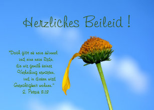 Kondolenz Geschenke Zazzleat