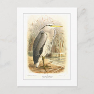 Herzog Postkarte