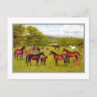 Herzog von Westminster's Mares and Foal