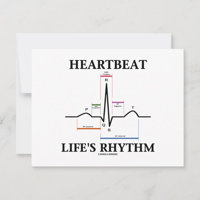 Herzrhythmusstörungen (EKG/EKG Heartbeat) (Vorderseite)