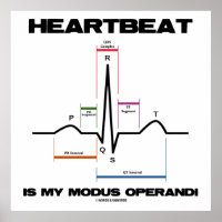 Herzschlag ist mein Modus Operandi Sinus Rhythmus