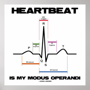 Herzschlag ist mein Modus Operandi Sinus Rhythmus Poster