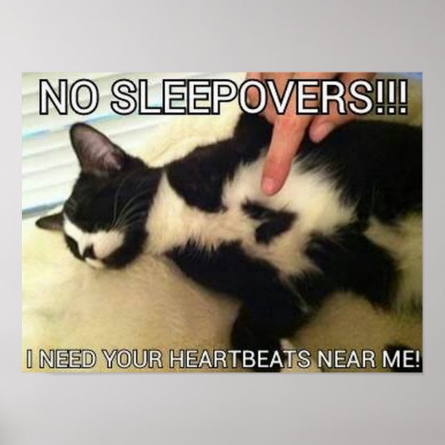 Herzschlag Poster (Vorne)