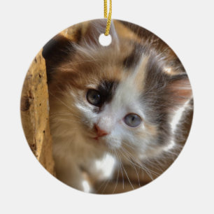 Heterochromia Calico Kitten Keramikornament