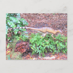 Heterodontosaurus - Dinosaur - Lernkarte Postkarte