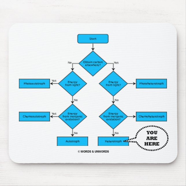 Heterotrophe Flussdiagramm - Sie sind hier Mousepad (Vorne)