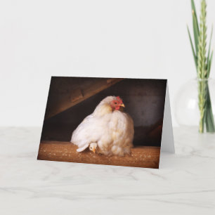 hetty&küken karte