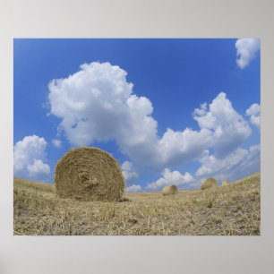 Heu-Ballen auf dem Gebiet, Pienza, Val d'Orcia, Poster