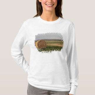 Heu-Ballen auf einem Gebiet mit Bergen am T-Shirt
