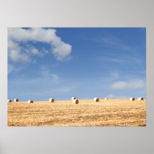 Heu-Ballen auf Feld Poster