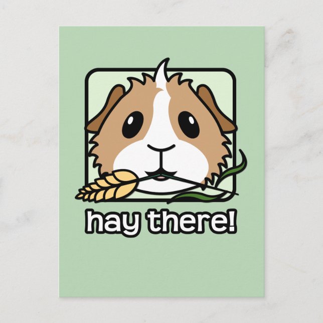 Heu dort! (Meerschweinchen) Postkarte (Vorderseite)