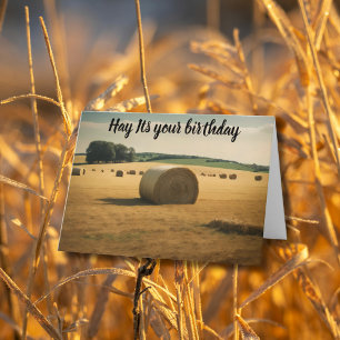 Heu, es ist dein Geburtstag rund um den Heuballen Karte