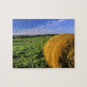 Heuballen in der Nähe von Bottineau North Dakota Puzzle