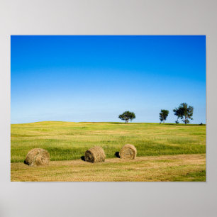 Heuballen in Nebraska Poster