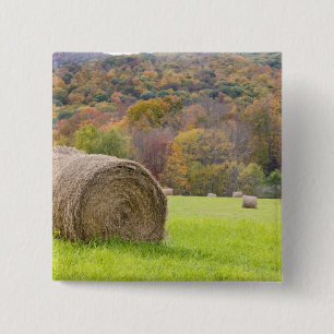 Heuballen und -Herbstlaub auf Bauernhof, Button