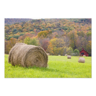Heuballen und Herbstlaub auf dem Bauernhof, Fotodruck