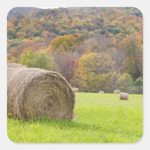 Heuballen und Herbstlaub auf dem Bauernhof, Quadratischer Aufkleber