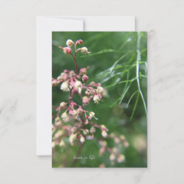 Heuchera-Blume Mitteilungskarte