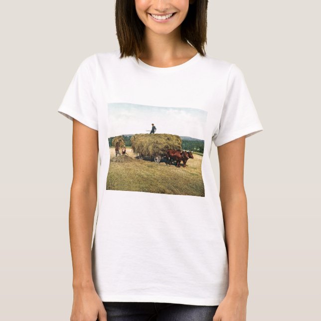 Heuen in Neu-England Vintages 1900 T-Shirt (Vorderseite)