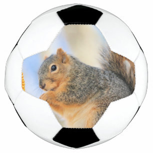 Heufurball Fußball
