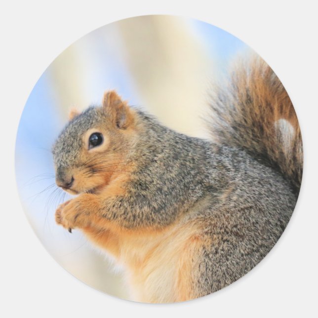 Heufurball Runder Aufkleber (Vorderseite)