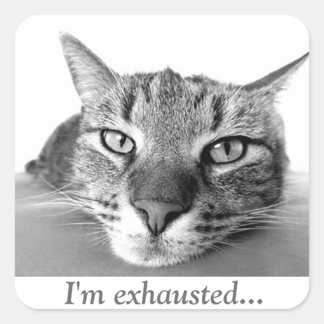 Heukatze Quadratischer Aufkleber (Vorderseite)