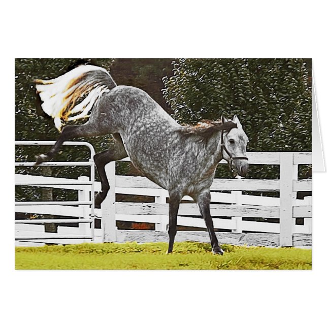 Heulen (Vorderseite (Horizontal))