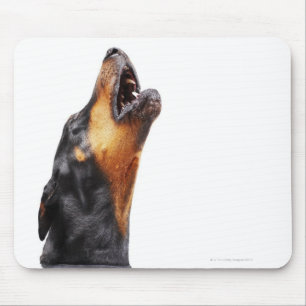 Heulender Dobermann Mousepad