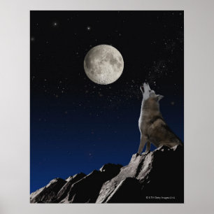 Heulenwolf Poster