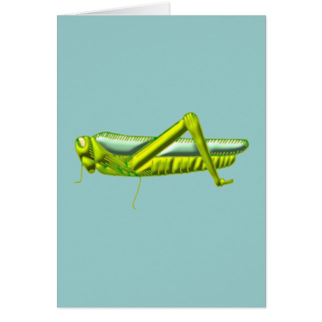 Heuschrecke grasshopper (Vorne)