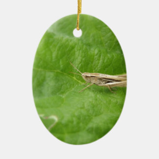 Heuschrecke Keramik Ornament