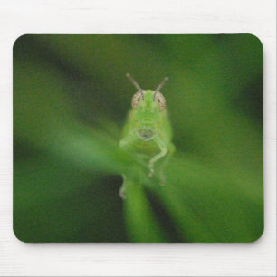 Heuschrecke Mousepad