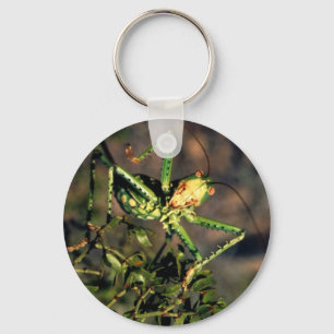 Heuschrecke Schlüsselanhänger