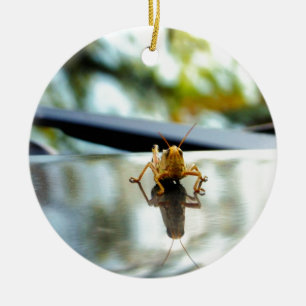 Heuschreckendistanzhülse Keramik Ornament