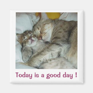 Heute ist ein guter Tag! Cats Magnet